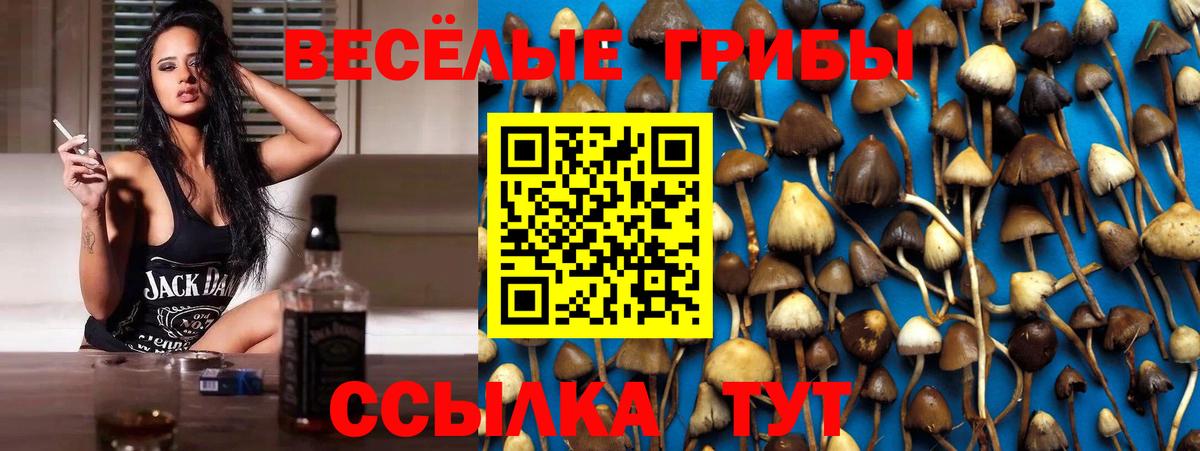 Псилоцибиновые грибы MAGIC MUSHROOMS  Галлюциногенные грибы Psilocybine cubensis  Вход с VPN  Котовск 